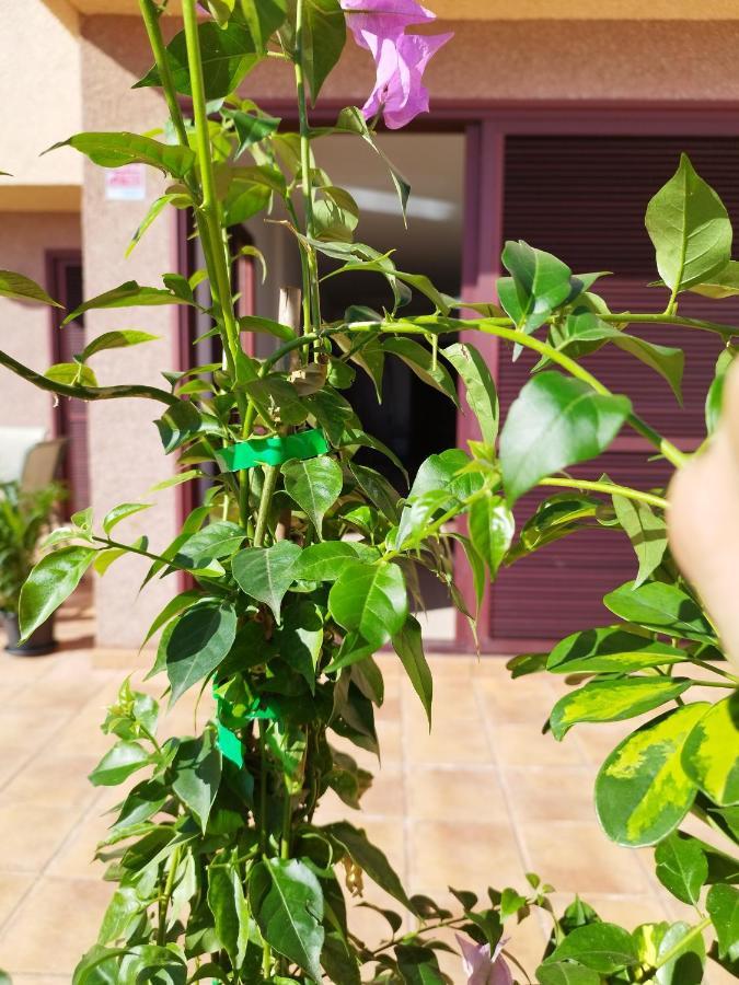 Vivienda Vacacional Compartida Radazul Bed & Breakfast Екстериор снимка